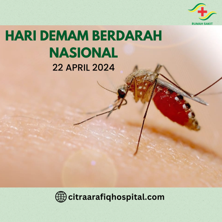 Hari Demam Berdarah Nasional 2024: Indonesia Menghadapi Tantangan Serius dalam Penanggulangan