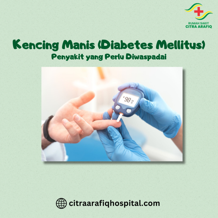 Kencing Manis (Diabetes Mellitus): Penyakit yang Perlu Diwaspadai